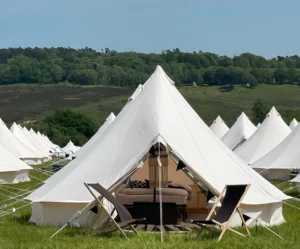 Glamping tents at Elderflower Fields